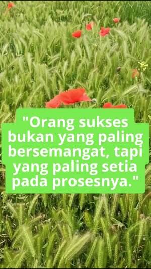 Orang sukses bukan orang yang selalu bersemangat, akan tetapi orang yang setia pada prosesnya #quotes #motivasi  #semangat  #gigih  #sukses 