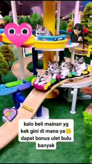 KALAU BELI MAINAN INI DIMANA YA ???

#kucinglucu #kucingoyen #catlovers #pencintakucing #kucinggemoy #kucinggemes #sahabarkucing