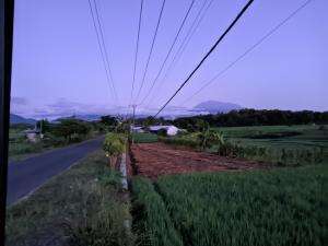 tetepo bersyukur
 #keindahan alam  #bersyukur  #melukissenja 