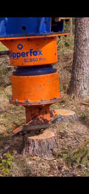 Hanya dibutuhkan kurang dari 1 menit untuk mencabut akar pohon.