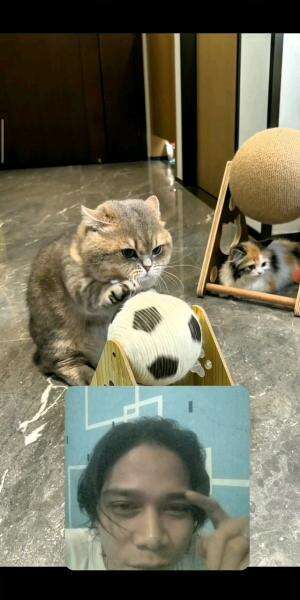 Waahhh😱Gemesss Bangett Si Kamu🥰

#fypシ゚viral #shortplus #RCTIPlus #reaction #semuaorang #funny 