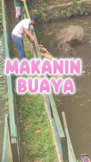 Bolak balik ke Ragunan baru kali ini pas moment buayanya jadwal makan dan nongol ke permukaan biasanya ngumpet bae #Liburan #Ragunan #Libura