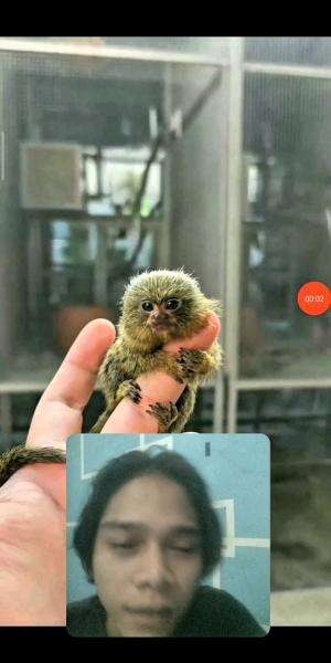 😱Lucu Bangett Sihh
#RCTIPlus #shortplus #fypシ゚viral #reaction #semuaorang #funny 