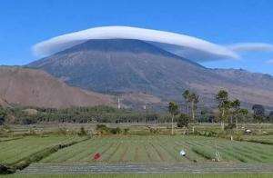 gunung lawu
 #gununglawu  #gunungindonesia  #gunung  #fyp 