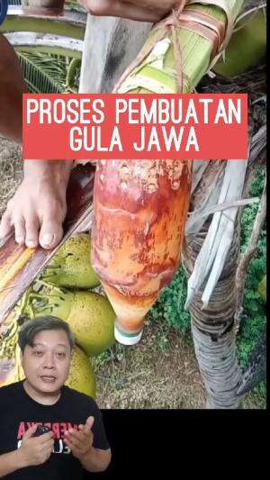 ini lho proses pembuatan gula Jawa #edukasi #gulajawa #gulamerah 