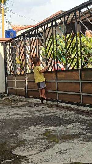 Bahagianya dia sederhana...bisa panjat pagar 😂