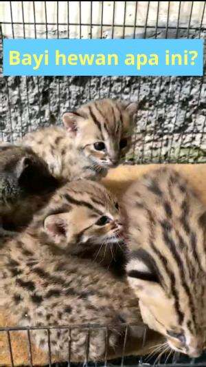  # shorts 
#trending
#Viral 