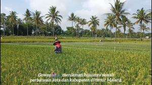 Gowes di Pinggir Sawah 