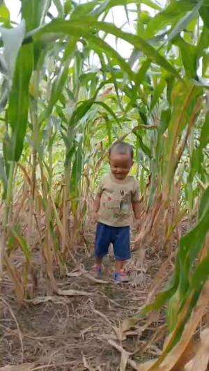 bolang
#bolang
