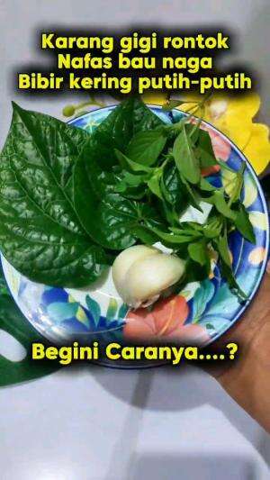 KARANG GIGI RONTOK, NAFAS BAU NAGA, BIBIR KERING PUTIH PUTIH, PAKAI CARA INI

#tipsandtrik #tips #trik #tutorial #kreatif #hiburan #inspiras