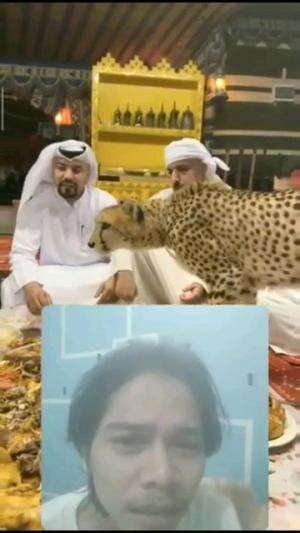 WOW😱 Orang Arab Ini Makan Bersama Hewan Peliharaan Nya Guys

 #fypシ゚viral #RCTIPlus #shorts 