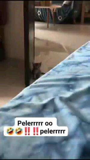 NURUT AJA DI PANGGIL