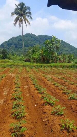 Dapur viewnya langsung gunung #gunung
