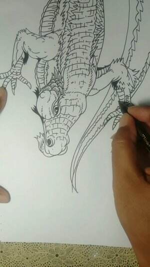 Yuk Belajar Menggambar Buaya Rawa Guys 