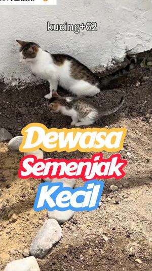 ngapain yah mereka berdua❓

#shortplus 