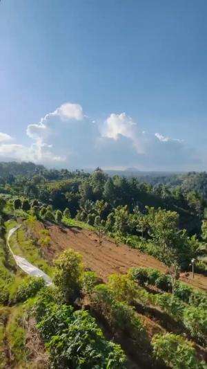 Selopanggung Kediri  #kediri  #kedirihits  #view #fypシ゚viral 