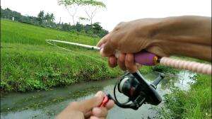 casting ikan gabus di irigasi pinggir jalan #mancing #fishing 