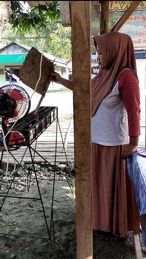 Bos Bakso bakar || Level 99