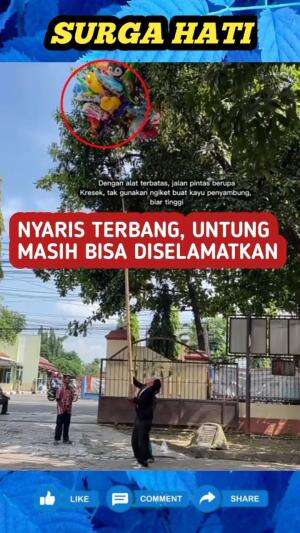 Nyaris tidak bisa jualan balon lagi, untungnya bapak ini dibantu oleh seorang pria baik hati, yang mau bantuin ambil balon jualannya yang te