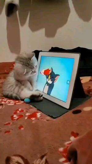 KALAU UDAH KENA TAB ANTENG DIEM