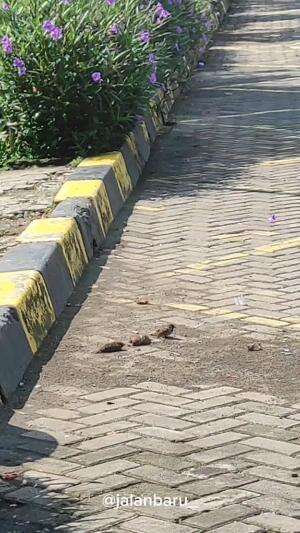 Jika Ada Masalah - Ceramah Ustadz Sonny Abi Kim #sonnyabikim #ustadzsonnyabikim #ujian #cobaan #masalah #musibah #ujianhidup #masalahhidup #