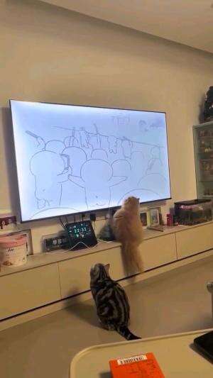 vocal kucing #kucinglucu 