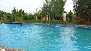 berenang  
 #berenang 