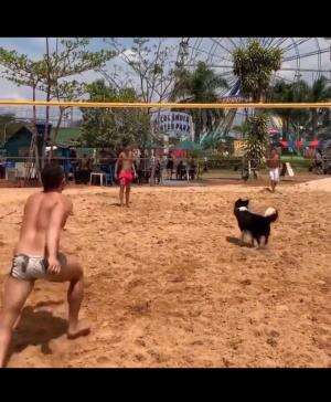 Anjingnya lebih jago 😭