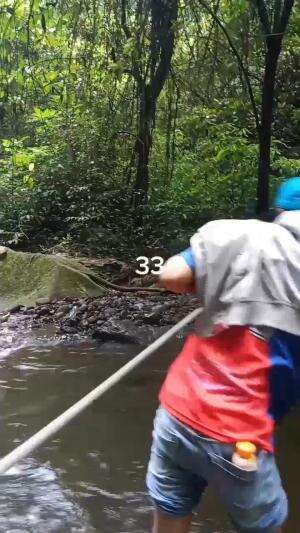 Nyebrang Kali
Serunya Tracking Coban Di Benjor Part 33
#jalan #benjor #setapak #coban #cinde #sanusi #cakra #srikandi #ngalam