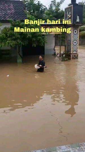 menyelamtkan sambil di buat mainan
.
.
.
#lucu #banjir #kambing #tengelamdigendong #RCTIPlus  #Hati Hati Kalo Lagi Banjir 