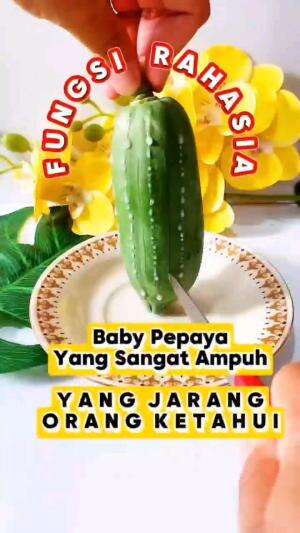 FUNGSI RAHASIA BABY PEPAYA

#tipsandtrik #tips #trik #tutorial #kreatif #hiburan #inspirasi #inspiratif 
