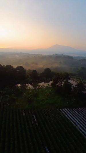 Bogor nih bos! Senggol dong!!! #fyp #drone  #DroneFPV #DroneMaru #HOTPlus #HOTRCTI #HOTRCTIPLUS #RCTIOke #RCTIPlus