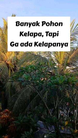 Phonnya ga ada Kelapanya.
#RCTIPlus #HOTrctiplus #Duniaanakanak #Videoanakanak #Edukasianak #fyp #fypシ #fypシ゚viral 