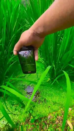 lihat spot kayak gini suka bikin penasaran 
#viral #fypシ゚viral #fyp