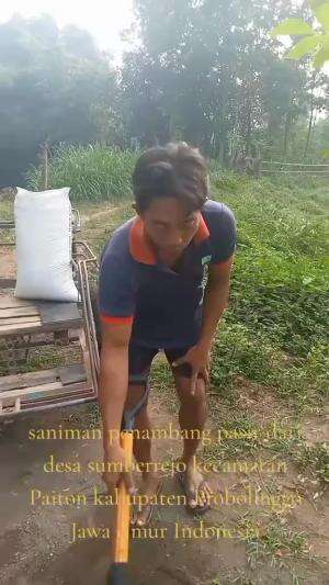 Saniman penambang pasir dari kampung kejawan1 desa sumberrejo kecamatan Paiton Probolinggo