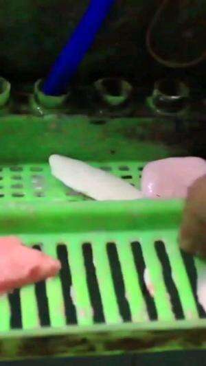 SABUN BEKAS SISA

#tipsandtrik #tips #trik #tutorial #kreatif #hiburan #inspirasi #inspiratif 