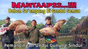 Harus Baca Apa Yahhh   #fyp  #fypシ゚viral 
