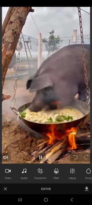 babi sial  #funny #parodi #MyFirstVideoOnHOT+ #comedy 