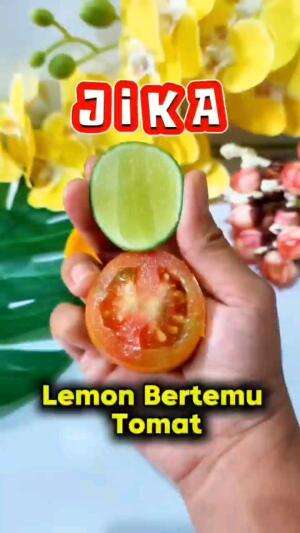 JIKA LEMON BERTEMU TOMAT, SANGAT BERMANFAAT

#tipsandtrik #tips #trik #tutorial #kreatif #hiburan #inspirasi #inspiratif 