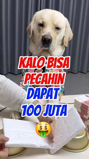 Nasib putih kali ini Bagaimana yah ❓️  #shortplus 