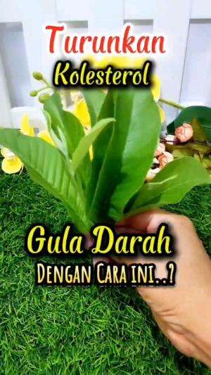 TURUNKAN KOLESTROL, GULA DARAH DENGAN CARA INI !!!

#tipsandtrik #tips #trik #tutorial #kreatif #hiburan #inspirasi #inspiratif 