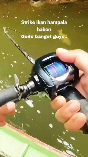 hampala monster guys 
 #RCTIPlus  #HOTrctiplus  #rcti  #mancing  #castinghampala 