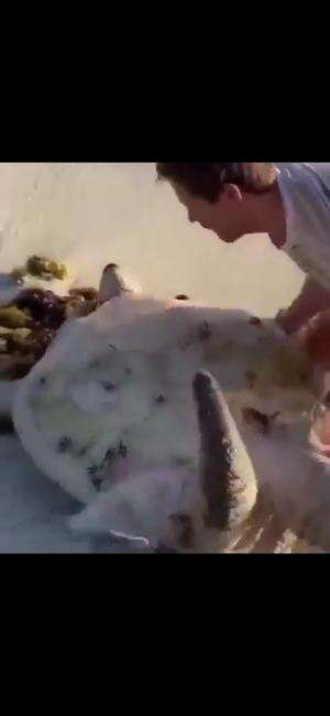 Satu dorongan menyelamatkan satu nyawa.