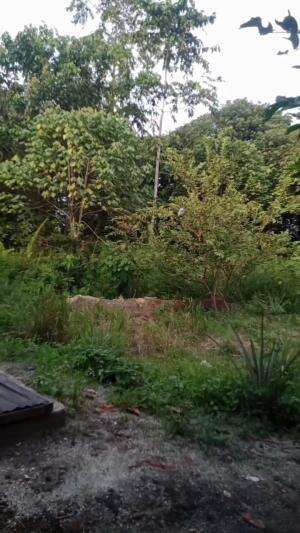 SUASANA SEJUK DI PAGI HARI