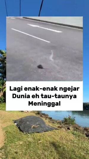 #fypシ゚viral 
#jangkauanluas 