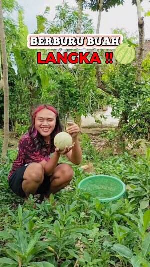 kalau di tempat kalian ini namanya buah apa? #lutfiafifi #dailyvlog #berkebun 