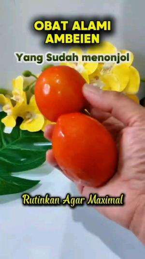 OBAT ALAMI AMBEIEN

#tipsandtrik #tips #trik #tutorial #kreatif #hiburan #inspirasi #inspiratif 