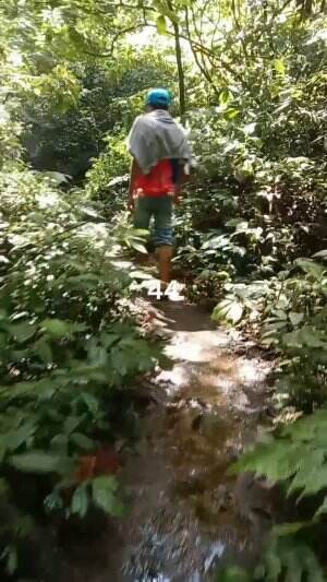 Coban Srikandi
Serunya Tracking Coban Di Benjor Part 44
#jalan #benjor #setapak #coban #cinde #sanusi #cakra #srikandi #ngalam