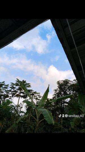 IDOL_XIII SESILIA PUSPITASARI 20th PURBALINGGA TERLALU CINTA