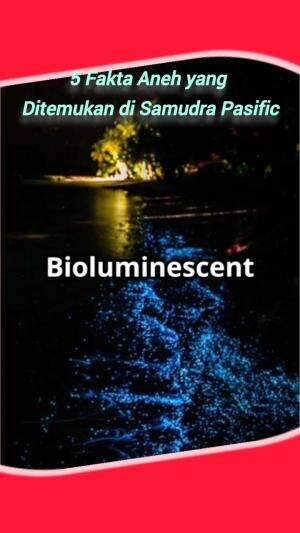  LIMA KEUNIKAN LAUT #BIOTALAUT  #kejadiananeh 